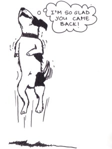 Drawing of a dog jumping and saying, "I'm so glad you came back!"
