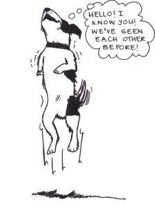 Drawing of a dog jumping and saying, "Hello! I know you! We've seen each other before!"