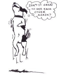 Drawing of a dog jumping and saying, "Isn't it great to see each other again?"