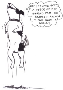 Drawing of a dog jumping and saying, "Hey! You've Got a piece of dry bread for the rabbit! Reckon I can have some?" 