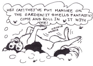 Drawing of a dog on its back, rolling happily in manure. He is saying, "Hey cat! They put manure on the garden! It smells fantastic! Come and roll in it with me!" 