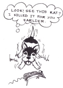 Drawing of a dog standing over a dead rat, looking up happily and saying, "Look! See this rat? I killed it for you earlier."