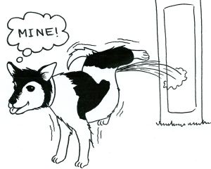 Cartoon of a dog urinating against a lamp post and thinking, 'Mine.'