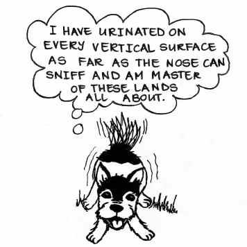 The dog continues, 'I have urinated on every vertical surface as far as the nose can sniff and am master of these lands all about.'